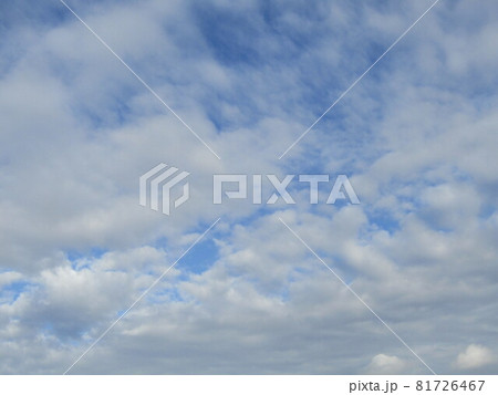 三陽メデアフラワーミュウジアムで撮った青空と白い雲 三陽メデアフラワーミュウジアムで撮った青空と白い雲 81726467