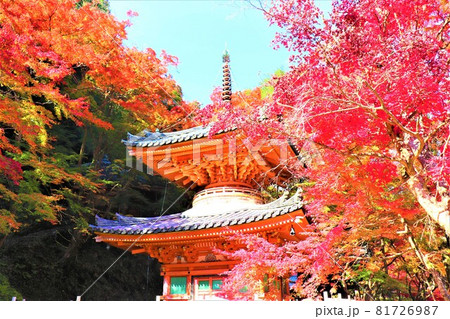 大威徳寺秋の紅葉 大威徳寺秋の紅葉 81726987