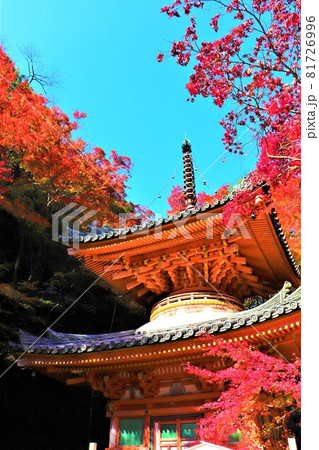 大威徳寺秋の紅葉 大威徳寺秋の紅葉 81726996