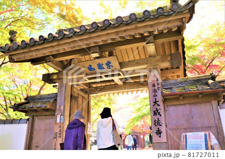 大威徳寺秋の紅葉 大威徳寺秋の紅葉 81727011