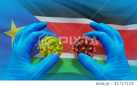 Medical virus molecular concept with flag of South Sudan. 3D illustration. 81727219
