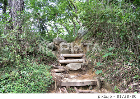 六甲山系菊水山登山道 81728780