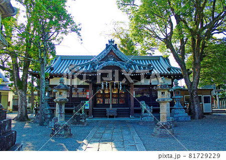 【奈良】秋の今井町　厳かな雰囲気の春日神社 81729229