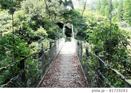 さえずり公園遊歩道の吊り橋 81729263