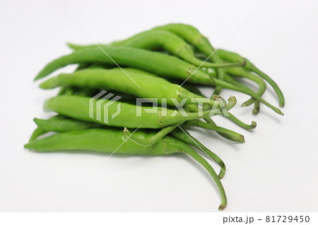 hot and spice chili pepper on white background hot and spice chili pepper on white background 81729450