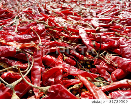 red hot spicy chili peppers on shop 81729509