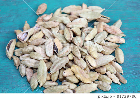 healthy and spicy Green Cardamom stock healthy and spicy Green Cardamom stock 81729786