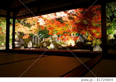 紅葉の間 紅葉の間 81729844