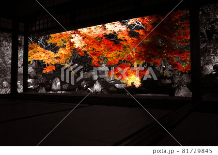 紅葉の間 紅葉の間 81729845
