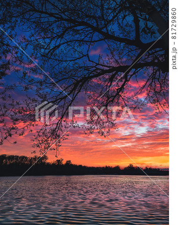 beautiful sunset with a view of the river 81729860