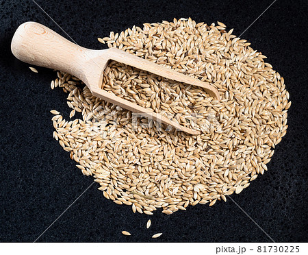 top view of wood scoop on pile of unhulled scagliola canary seeds on black plate top view of wood scoop on pile of unhulled scagliola canary seeds on black plate 81730225