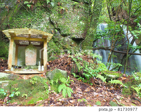 せせらぎの音を聞きながら夏の悠久の森を歩く　鹿児島県曽於市財部町南俣 81730977