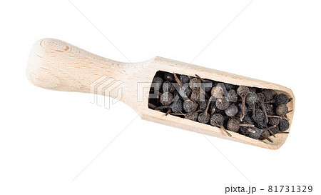 top view of dried cubeb pepper in wood scoop cutout on white background 81731329