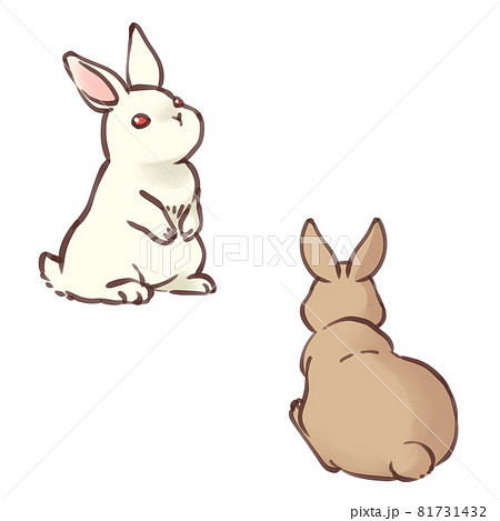 白うさぎとブラウンうさぎのイラスト素材