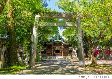闇之森八幡社、くらがりの森に佇む〈愛知県名古屋市〉 81731464