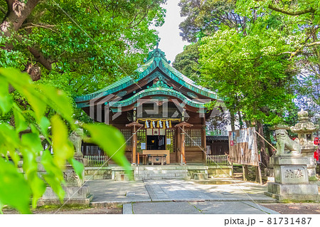 闇之森八幡社、くらがりの森に佇む〈愛知県名古屋市〉 闇之森八幡社、くらがりの森に佇む〈愛知県名古屋市〉 81731487