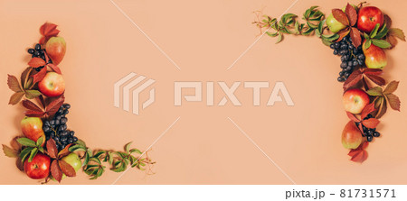 Autumn seasonal fruits apples pears grapes leaves pastel brown background. Thanksgiving harvest concept. Autumn vintage 81731571