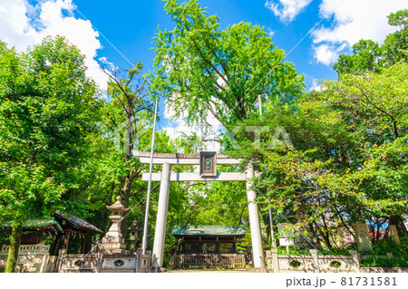 闇之森八幡社、くらがりの森に佇む〈愛知県名古屋市〉 闇之森八幡社、くらがりの森に佇む〈愛知県名古屋市〉 81731581