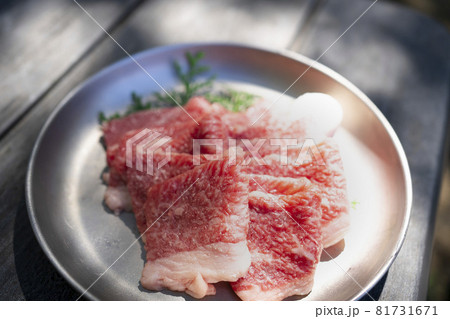 屋外の木漏れ日の下で食べる焼肉 屋外の木漏れ日の下で食べる焼肉 81731671