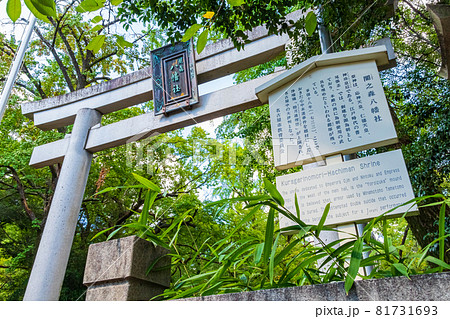 闇之森八幡社、くらがりの森に佇む〈愛知県名古屋市〉 闇之森八幡社、くらがりの森に佇む〈愛知県名古屋市〉 81731693