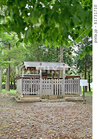 見沼田圃散歩：見沼区大字新堤 　稲荷神社 81731710
