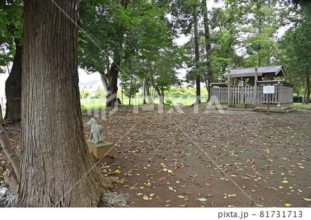 見沼田圃散歩：見沼区大字新堤 　稲荷神社 81731713