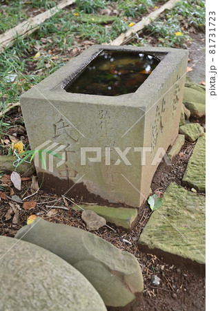 見沼田圃散歩：見沼区大字新堤 　稲荷神社 81731723