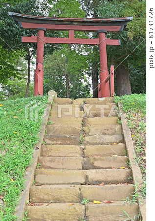 見沼田圃散歩：見沼区大字新堤 　稲荷神社 81731726