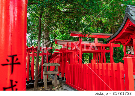 闇之森八幡社、くらがりの森に佇む〈愛知県名古屋市〉 81731758