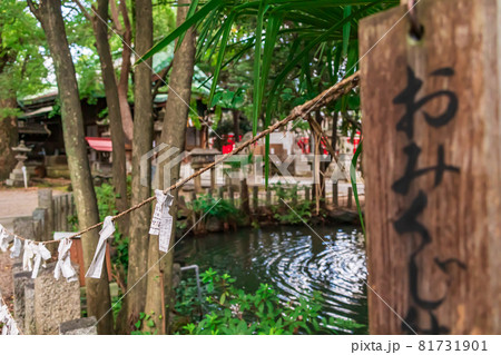闇之森八幡社、くらがりの森に佇む〈愛知県名古屋市〉 81731901
