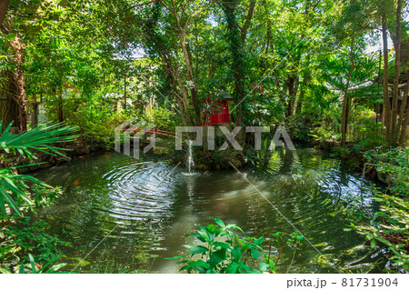 闇之森八幡社、くらがりの森に佇む〈愛知県名古屋市〉 闇之森八幡社、くらがりの森に佇む〈愛知県名古屋市〉 81731904