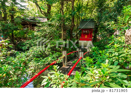 闇之森八幡社、くらがりの森に佇む〈愛知県名古屋市〉 81731905
