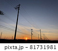 しずむ夕日 81731981