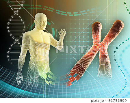Human chromosome Human chromosome 81731999