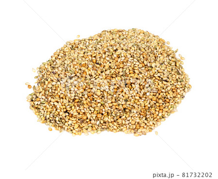 handful of unhulled foxtail millet (setaria italica) seeds closeup on white background 81732202