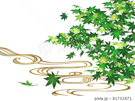 装飾背景-青もみじと流水 装飾背景-青もみじと流水 81732871