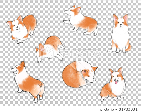 Hand-painted touch Corgi various poses illustration set 81733331