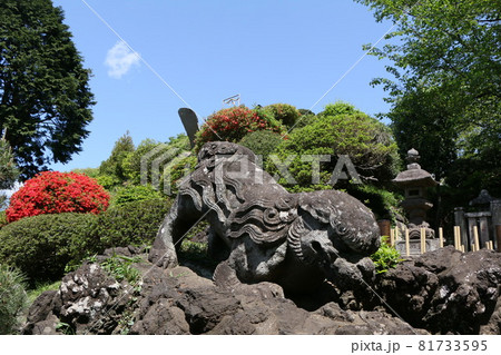 田子山富士 81733595