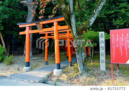 【奈良】秋の橿原神宮 たくさんの鳥居が連なる長山稲荷社 【奈良】秋の橿原神宮 たくさんの鳥居が連なる長山稲荷社 81733772