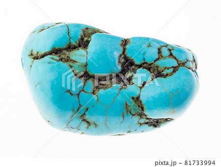 macro photography of natural mineral from geological collection - polished blue howlite (turquenite) gem stone on white background 81733994