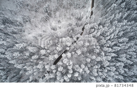 Curve shape rural road in winter landscape 81734348