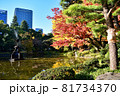 日比谷公園の紅葉と水鏡 81734370