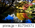 日比谷公園の紅葉と水鏡 81734371