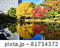 日比谷公園の紅葉と水鏡 81734372