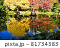 日比谷公園の紅葉と水鏡 81734383