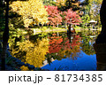 日比谷公園の紅葉と水鏡 81734385