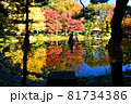 日比谷公園の紅葉と水鏡 81734386