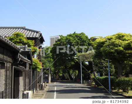 谷中霊園 81734392