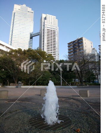 あかつき公園 81734888