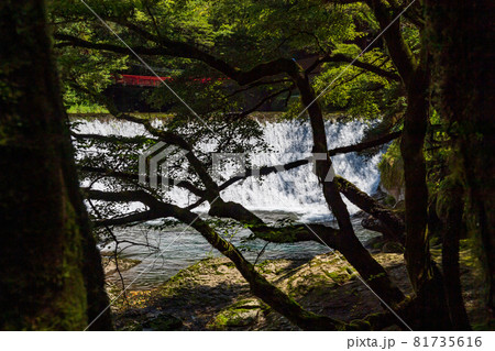 初秋の頃菊池渓谷の美しい渓谷美風景 81735616